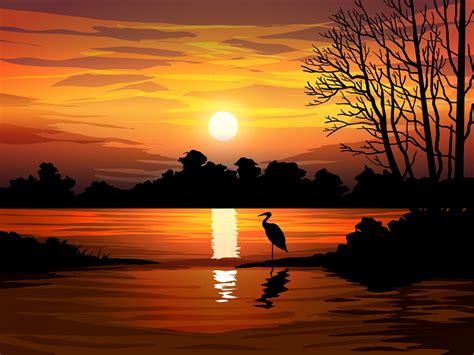 Beautiful Forest Sunset Scene with Lake 2042905 Vector Art at Vecteezy