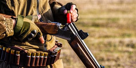 Hunting Tips & Tricks: Why you need a Shotgun to Hunt - Hunting Radar