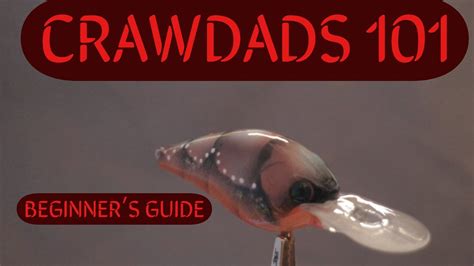 Crawdads 101 - YouTube