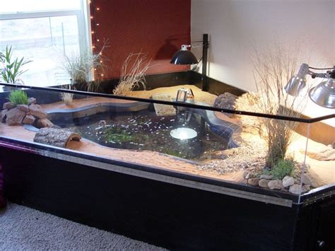 13 best New turtle habitat ideas images on Pinterest | Turtle aquarium ...