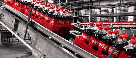 Skkynet | Case Study: Coca-Cola Bottler, Ireland