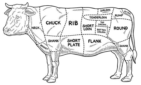 A Guide to Meat: The 8 Cuts of Beef - The Best Stop in Scott