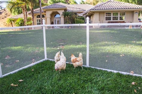 Chicken Corrals with Wire Mesh available in 7 sizes and with or without ...