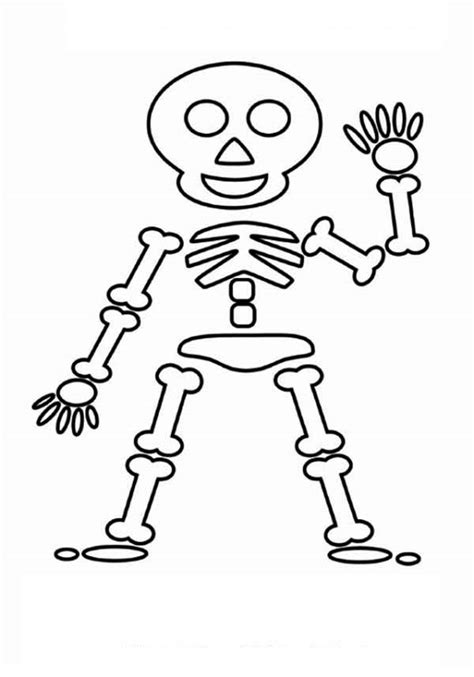 Simple Skeleton Drawing at GetDrawings | Free download