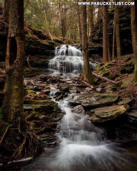 30 Must-See Waterfalls in Tioga County PA