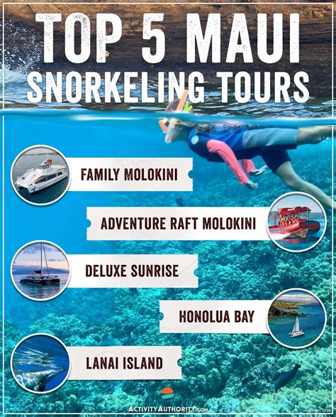 Top 5 Maui Snorkeling Tours - Lahaina, Maalaea, Makena, Lanai