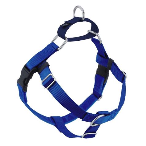 Must-Have Reactive Dog Walking Gear – Collaborative Canines Dog ...