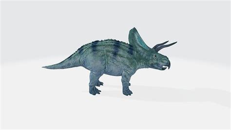 Zuniceratops 3D model | CGTrader