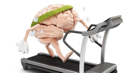 It’s a no-brainer: Why running is good for your grey matter