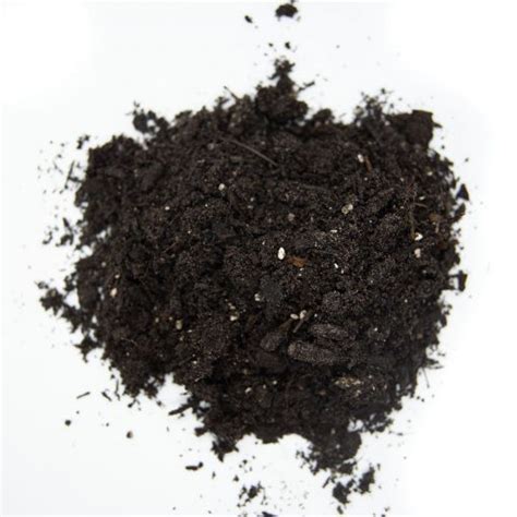 Top Soil Bulk | Big Earth Supply