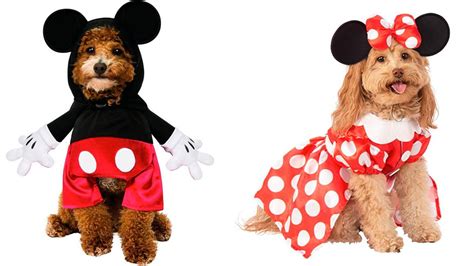 15 disfraces Disney para tu perro, ¡no sabrás cuál elegirle estos ...