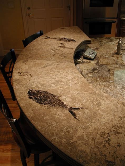 Nice Fossil Countertop bar. | Beautiful kitchen countertops, Outdoor ...