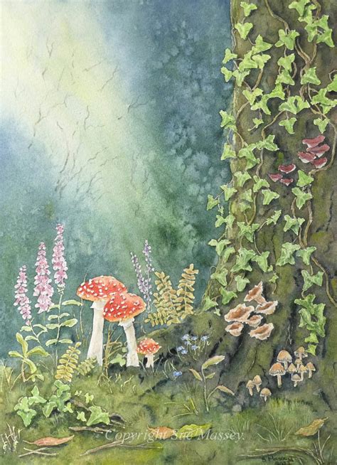 Forest Fungi. by SueMArt on DeviantArt