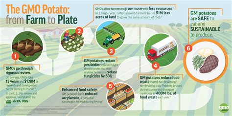 Discover the Advantages of GMO Potatoes