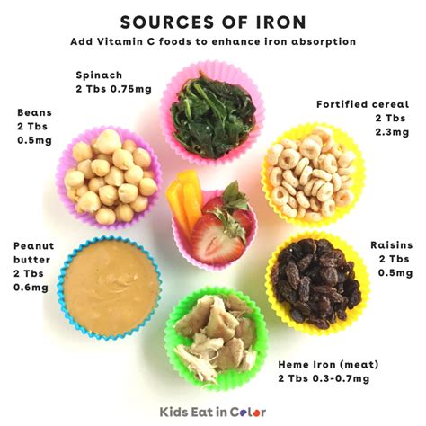 Foods High In Iron For Anemia