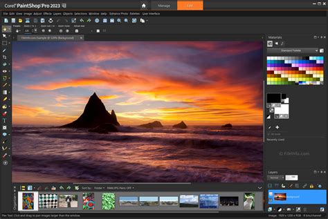 Corel PaintShop Pro 2023 - Supported File Formats