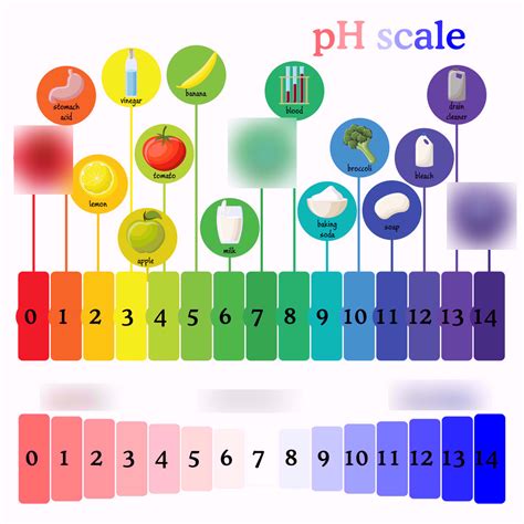 Chemistry: pH scale Diagram | Quizlet