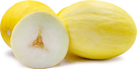 Golden Honeydew Melons Information and Facts