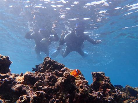 Okinawa Miyakojima Snorkeling Experience with SUP or Canoeing - Klook