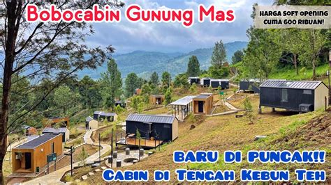 Hotel Gunung Mas Puncak - Homecare24