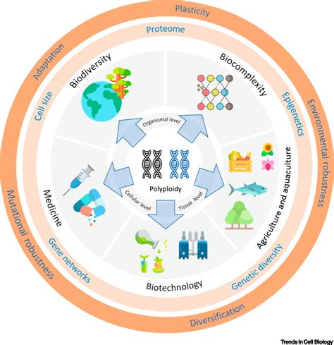 Polyploidy: A Biological Force From Cells to Ecosystems: Trends in Cell ...