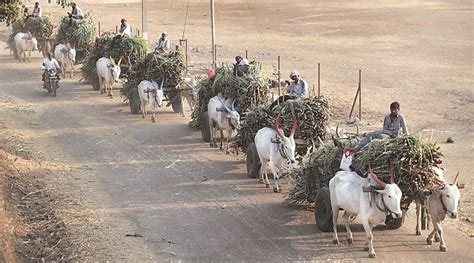 Punjab: Dhuri sugar mill to be auctioned to pay off dues | India News ...