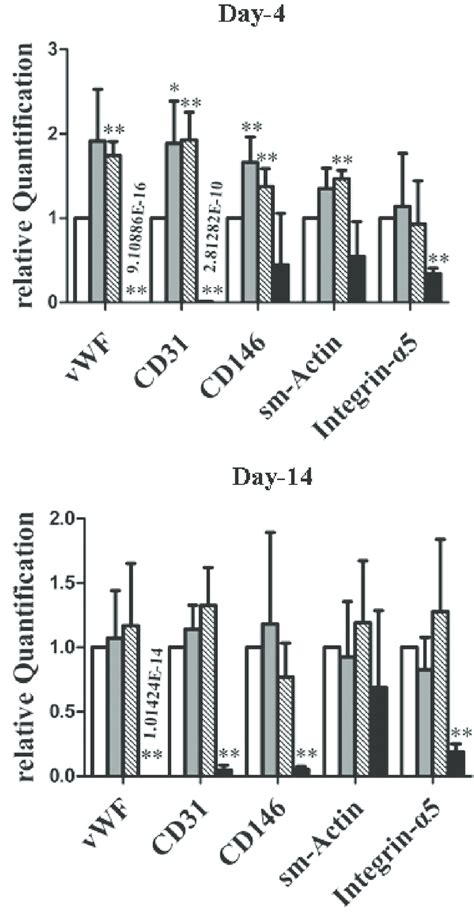 A. Expression of endothelial and myeloid markers. Relative expression ...