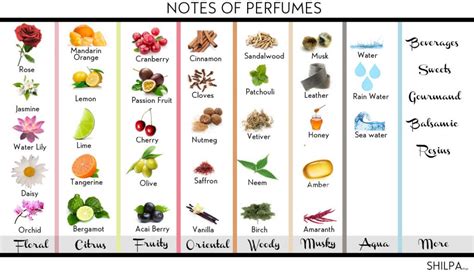 The Perfect Guide To Perfume Notes And How To Choose 'em!