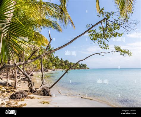 Starfish Beach panama Stock Photo - Alamy