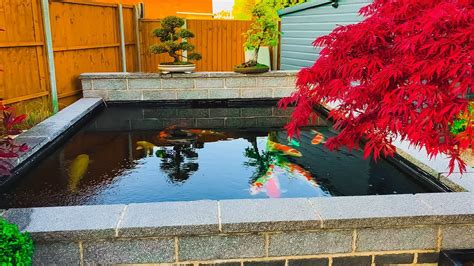 Backyard Pond Modern Koi Pond Ideas - Goimages Bay