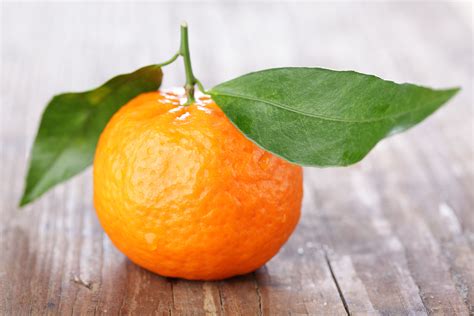 Guide to Types of Winter Orange and Tangerines