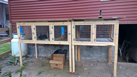 50 DIY Rabbit Hutch Plans to Get You Started Keeping Rabbits