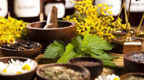 Ayurveda, Healing Herbs And Conventional Medicine — IVAC Ayurvedic ...