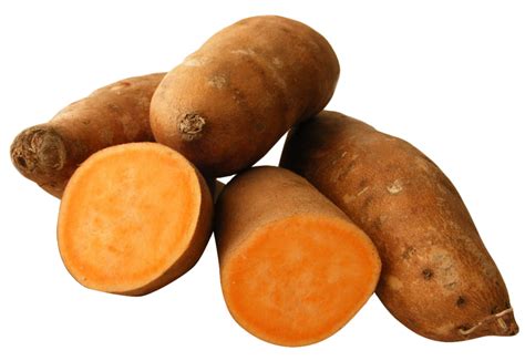 Yam PNG Image - PurePNG | Free transparent CC0 PNG Image Library