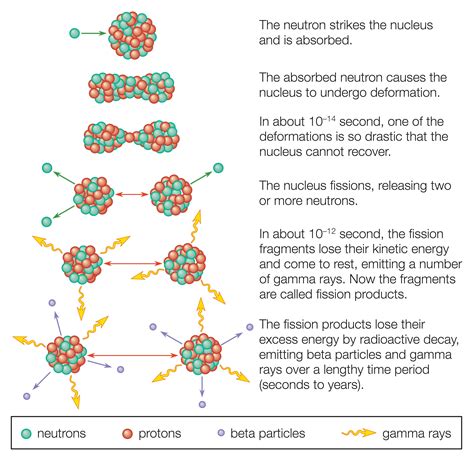 Nuclear Fission Definition and Examples