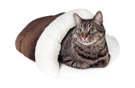 ASPCA Cozy Slipper Cat Cave Pet Bed, Brown - Walmart.com - Walmart.com