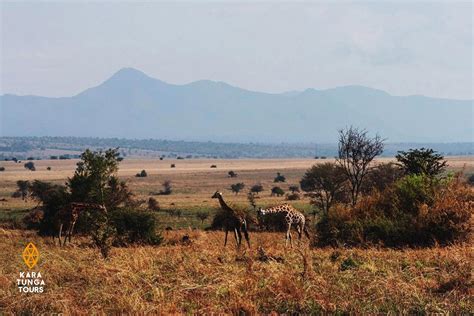 10 Days Karamoja 4 Mountain Peaks Expedition - Kara-Tunga, Karamoja ...