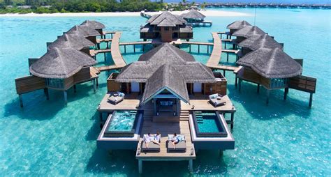 National Bird | Overwater bungalows, Ocean resort, Maldives