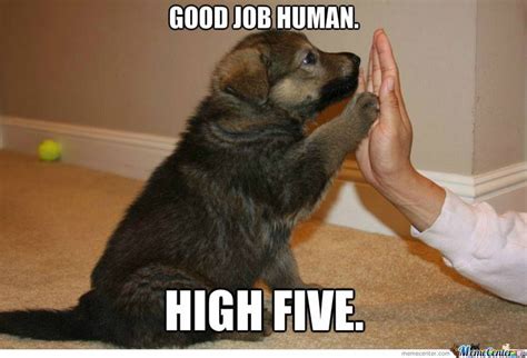 Good Job Dog Meme