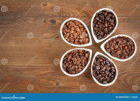 Coffee Bean Varieties