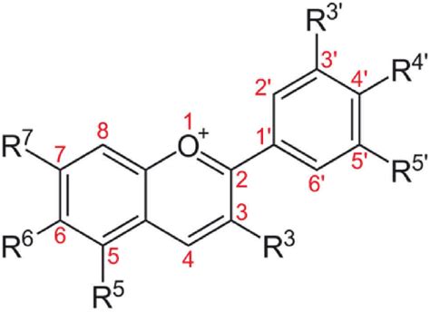 Basic anthocyanin structure. | Download Scientific Diagram