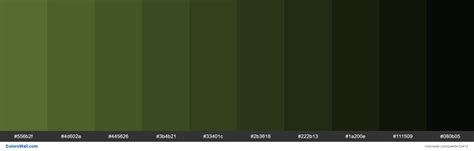 Shades of Dark Olive Green #556B2F hex color | Pantone green shades ...