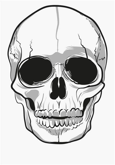 skeleton head clip art - Clip Art Library