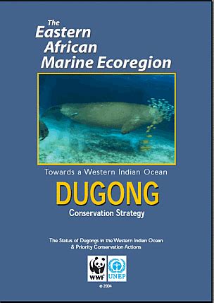 Dugong Conservation Strategy in East Africa | WWF