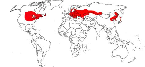 Humid Continental Climate Europe