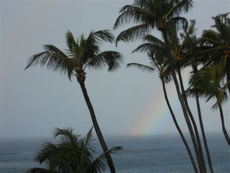 sunset on Maui | Outdoor, Maui, Beach