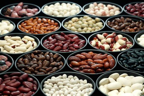 Types of beans: new & heirloom - Plantura