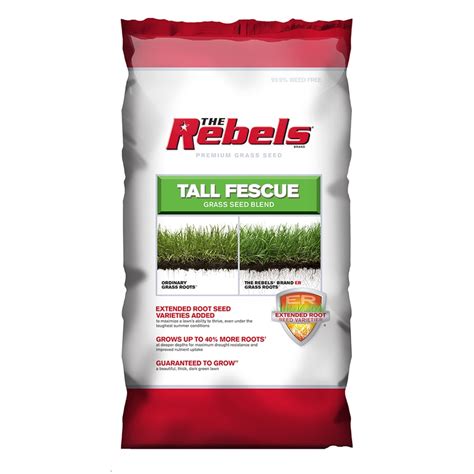 Shop Rebel Premium 40-lb Tall Fescue Grass Seed at Lowes.com