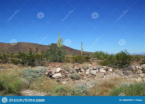 Mountainous Desert Landscape Stock Image - Image of outdoors, united ...