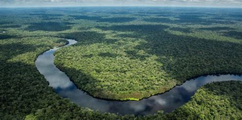 Africa Updates: Congo Basin Conservation Brings 6 Countries Together